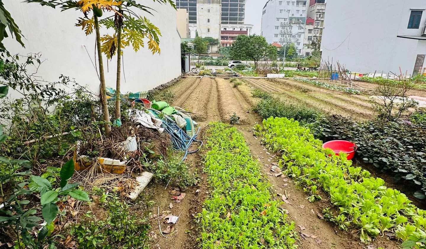 Đất hiếm Long Phương Trang Hạ trung tâm Từ Sơn giá cực tốt cần bán gấp... Bán đất tại Đồng Nguyên, Bắc Ninh 01