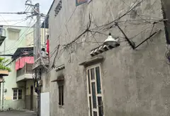 Nhà 2 tầng nhỏ gọn tại trung tâm Tân Bình, giá vừa tầm... Bán nhà riêng tại Bảy Hiền, Hồ Chí Minh 07
