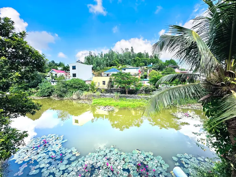 Bán nhà riêng 1 tầng 2 ngủ tại phường Hà Lầm, Quảng Ninh, view ao sen thoáng mát... Bán nhà riêng tại Hà Lầm, Quảng Ninh 01