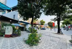 Cơ Hội Vàng Sở Hữu Đất Mặt Tiền Trục Chính Kinh Doanh Tại Trung Tâm... Bán đất tại Thư Lâm, Hà Nội 03