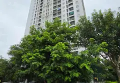 Bán căn hộ 2 phòng ngủ tại phường Phúc Lợi, EcoHome E1, diện tích 68.6m², giá 5.1 tỷ VNĐ... Bán căn hộ chung cư tại Phúc Lợi, Hà Nội 01