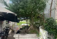 Cơ hội hiếm có sở hữu lô đất mặt tiền Phạm Văn Đồng giá giảm sâu... Bán đất tại An Hải, Đà Nẵng 04