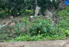 Bán đất thôn Hầu, Lâm Động, Thủy Nguyên, diện tích 58.1m², hướng Nam, giá 1.05 tỷ... Bán đất tại Thiên Hương, Hải Phòng 02