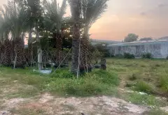 Đất mặt tiền rộng ngay góc Tỉnh Lộ 2 – Cơ hội đầu tư vàng... Bán đất tại Củ Chi, Hồ Chí Minh 02