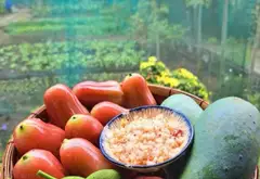 Bán Nhà Vườn Nghỉ Dưỡng Xã Bình Lợi, Bình Chánh, 1833m2, Giá Tốt... Bán nhà mặt phố tại Bình Lợi, Hồ Chí Minh 03