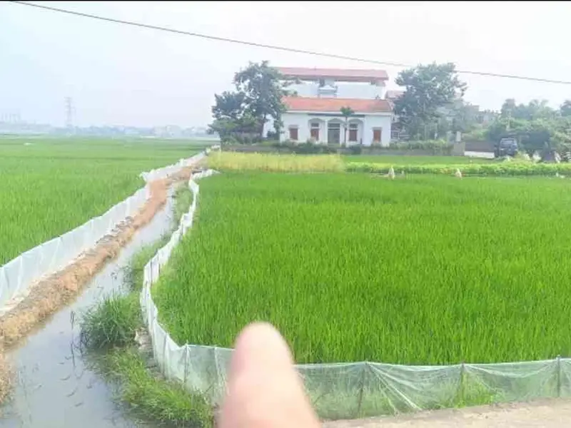 Cơ hội hiếm có sở hữu đất thổ cư đẹp tại Nghi Khúc, giá trị tăng vọt... Bán đất tại Mão Điền, Bắc Ninh 01