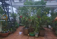 Nhà mặt phố Tân Bình, giá sốc giảm 4.5 tỷ ngay hôm nay... Bán nhà mặt phố tại Tân Sơn Nhất, Hồ Chí Minh 10