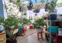 Bán nhà mặt phố 5 tầng, diện tích 30m2 tại quận 6... Bán nhà mặt phố tại Phú Lâm, Hồ Chí Minh 09