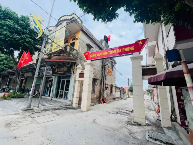 Lô đất giá hời gần Hà Nội, ô tô vào nhà... Bán đất tại Thư Lâm, Hà Nội 01