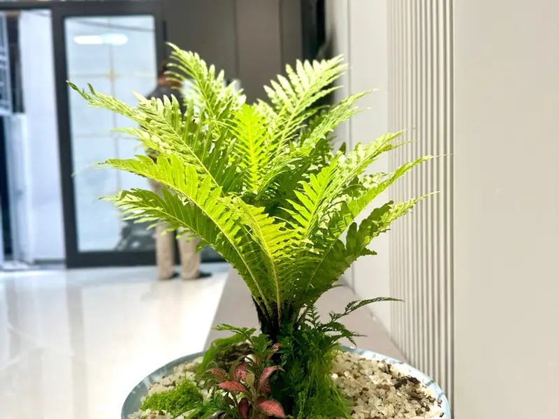 Cơ hội hiếm có sở hữu nhà 6 tầng thang máy tại phân lô Quân Đội Thanh Xuân... Bán nhà riêng tại Phương Liệt, Hà Nội 01