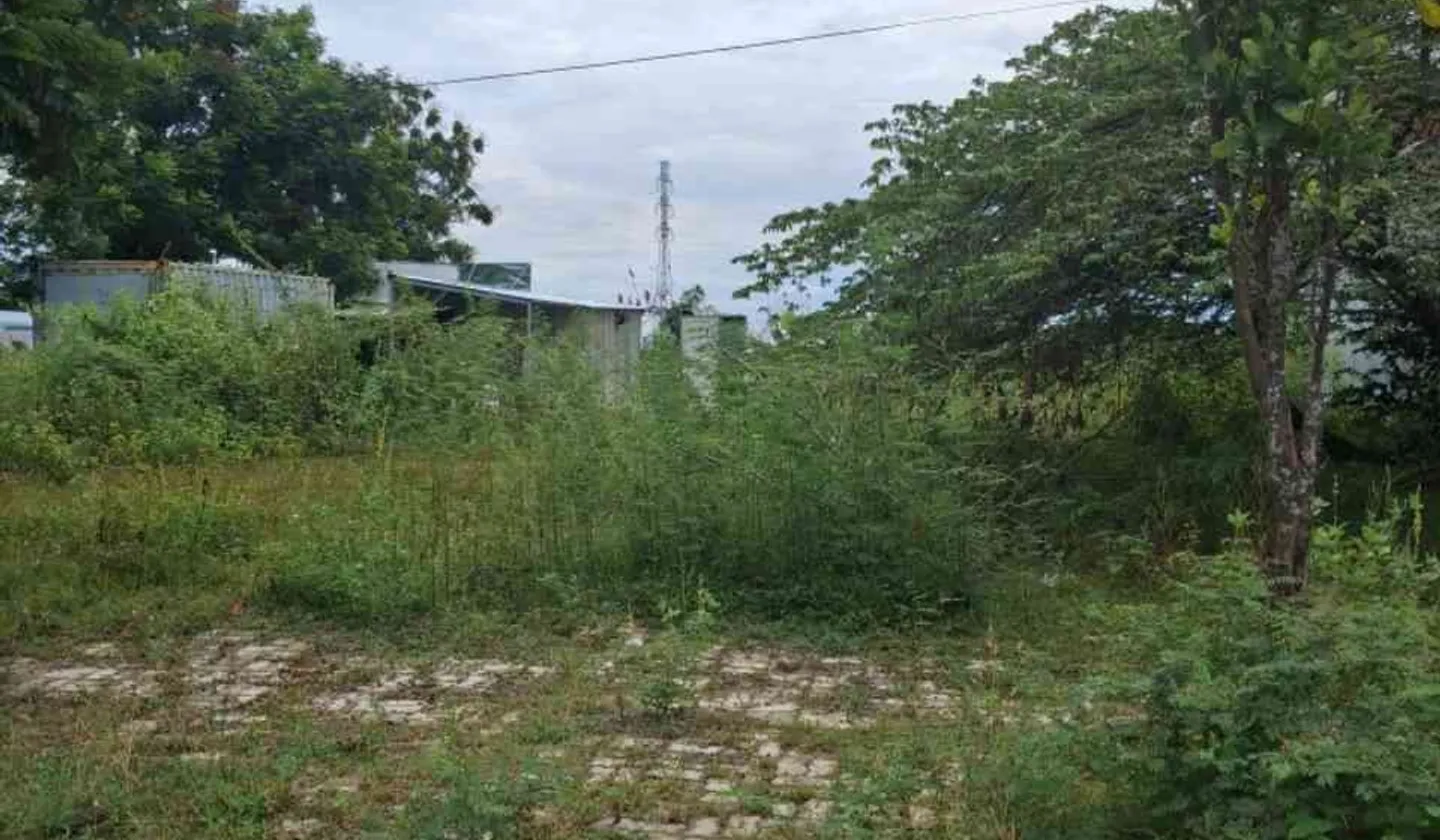🔥 ĐẤT HÒA LIÊN 5 – 100M² – ĐƯỜNG 7M5 – GIÁ NHỈNH NHỎ 3 TỶ 🔥... Bán đất tại Liên Chiểu, Đà Nẵng 01