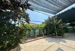 Siêu phẩm gần 3600m2 mặt tiền rộng, lợi nhuận trên 100tr/tháng... Bán nhà riêng tại Tân Nhựt, Hồ Chí Minh 09