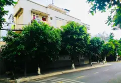 Nhà mặt phố lô góc siêu đẹp khu Tên Lửa, kinh doanh cực đỉnh... Bán nhà mặt phố tại An Lạc, Hồ Chí Minh 02
