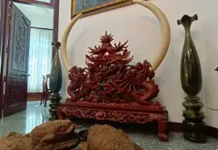Biệt thự sang trọng rộng 983m2 ven Hồ Bá Phấn với không gian riêng tư đẳng cấp... Bán partner tại Phước Long, Hồ Chí Minh 17