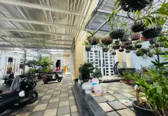 Nhà sân vườn rộng rãi, giá cực tốt ở Tân Phú... Bán nhà riêng tại Tây Thạnh, Hồ Chí Minh 02