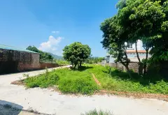 Cơ hội sở hữu đất thổ cư đã tách lô, pháp lý rõ ràng tại vị trí đẹp... Bán đất tại Kim Anh, Hà Nội 04