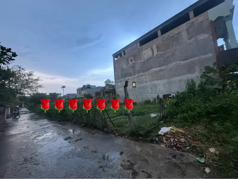 Đất nền đẹp, giá mềm, cơ hội đầu tư ngay!... Bán đất tại Nội Bài, Hà Nội 01