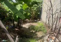 Bán đất 70,5m² hẻm xe hơi tại Thạnh Lộc gần Hà Huy Giáp, giá 3,4 tỷ đồng... Bán đất tại An Phú Đông, Hồ Chí Minh 01