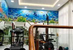 Bán nhà biệt thự 4 tầng diện tích 168.8m2 tại Gò Dầu giá tốt... Bán nhà riêng tại Tân Sơn Nhì, Hồ Chí Minh 09