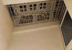Bán nhà riêng 5 tầng khu đô thị Định Công, diện tích 76m², pháp lý cơ sở, ô tô tránh, kinh doanh t... Bán nhà riêng tại Định Công, Hà Nội 13