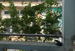 Bán Nhà Phạm Thế Hiển P1 Quận8 - Cầu Nguyễn Văn Cừ - Nở Hậu 3,5mx16 - Nhỉnh 5 Tỷ... Bán nhà riêng tại Chánh Hưng, Hồ Chí Minh 04