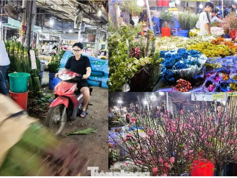 B.a'n Nh.a`giáp Q.11 HẺM XE HƠI 6m thông NGANG 5.5M, 3 TẦNG, 4PN, 3WC - Ngay CC Đại Thành và Trường... Bán nhà riêng tại Tân Phú, Hồ Chí Minh 01