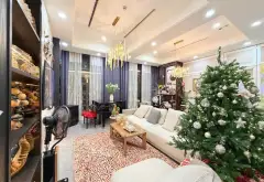 Bán căn hộ Penhouse Sunshine Garden Dương Văn Bé, 188.2m², 4 phòng ngủ, giá hơn 20tỷ... Bán căn hộ chung cư tại Vĩnh Tuy, Hà Nội 02