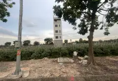 Bán đất 100m2 hướng Bắc tại Khu đô thị Cienco 5 Quang Minh, Mê Linh... Bán đất tại Quang Minh, Hà Nội 02