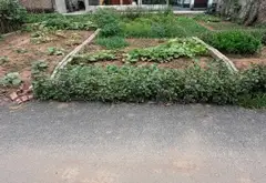 Đất 2 mặt tiền ô tô tránh ngay trung tâm Khoái Châu... Bán đất tại Khoái Châu, Hưng Yên 06