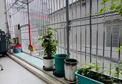 PHẠM VĂN HAI, NHÀ 2 TẦNG, GIÁ 5,6 TỈ... Bán nhà riêng tại Tân Sơn Nhất, Hồ Chí Minh 07