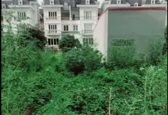 Đất phân lô trung tâm Trạm Trôi –
Chủ đang rất thiện trí bán ạ... Bán đất tại Hoài Đức, Hà Nội 13