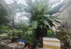 Đất rộng rãi, hẻm xe tải, an ninh tại Thới An... Bán đất tại Thới An, Hồ Chí Minh 10