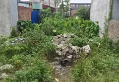Cơ hội hiếm có sở hữu đất vàng tại trung tâm phường Thiên Hương Hải Phòng... Bán đất tại Thiên Hương, Hải Phòng 05