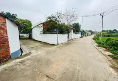 Đất Sóc Sơn sổ đỏ, đường ô tô, khu dân trí cao... Bán đất tại Sóc Sơn, Hà Nội 03