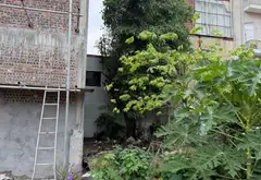 📣📣 #2.x_tỷ – ĐẤT ĐẸP 71m² – NGÕ 2 Ô TÔ TRÁNH NHAU CÁCH NGÃ TƯ PHỐ MỚI QUẾ VÕ 300M.... Bán đất tại Quế Võ, Bắc Ninh 03