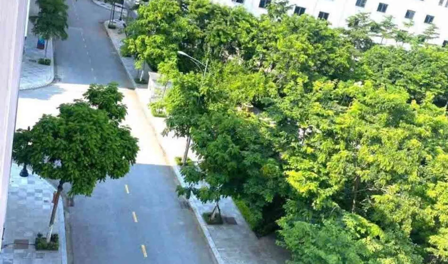 Bán biệt thự liền kề 75m² 5 tầng tại khu đô thị Phố Nối T&T, hướng Đông Bắc... Bán biệt thự, liền kề tại Nguyễn Văn Linh, Hưng Yên 01