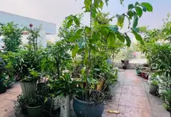 Bán nhà mặt phố 4 tầng - 95m² - Đường Số , KDC Sài Gòn, Quận 8 - 9,8 tỷ... Bán nhà mặt phố tại Bình Đông, Hồ Chí Minh 10