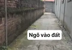 Đất phân lô hiếm, sổ sẵn, giá tốt chờ chủ mới... Bán đất tại Sóc Sơn, Hà Nội 08