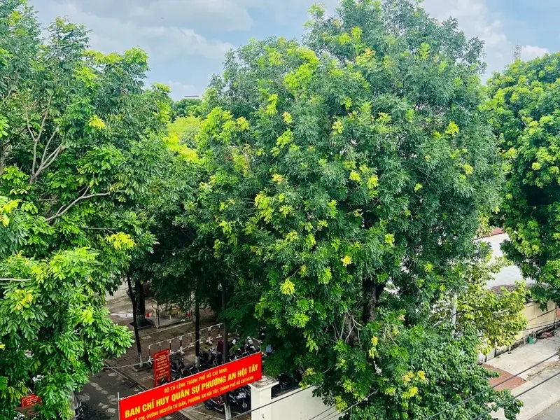 Bán nhà mặt phố Phạm Văn Bạch,5 tầng, mặt tiền 4m, diện tích 69m2... Bán nhà mặt phố tại An Hội Tây, Hồ Chí Minh 01