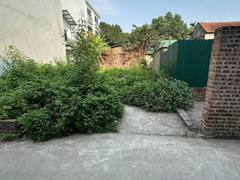 Bán đất Sơn Đồng, gần Đại lộ Thăng Long, ô tô đỗ cửa, diện tích 55m²... Bán đất tại An Khánh, Hà Nội 01
