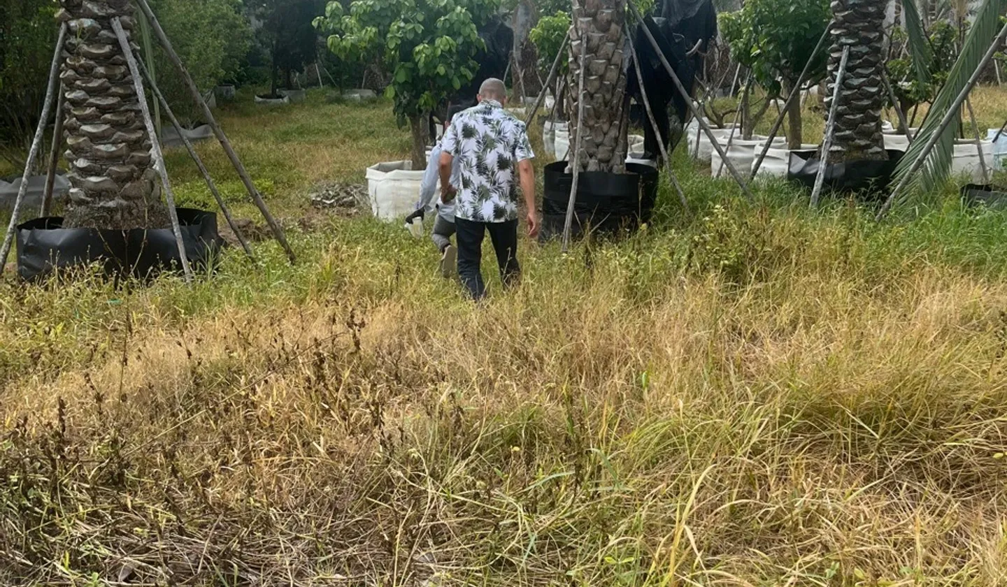Lô đất vàng ngay trung tâm, đầu tư hoàn hảo... Bán đất tại Củ Chi, Hồ Chí Minh 01