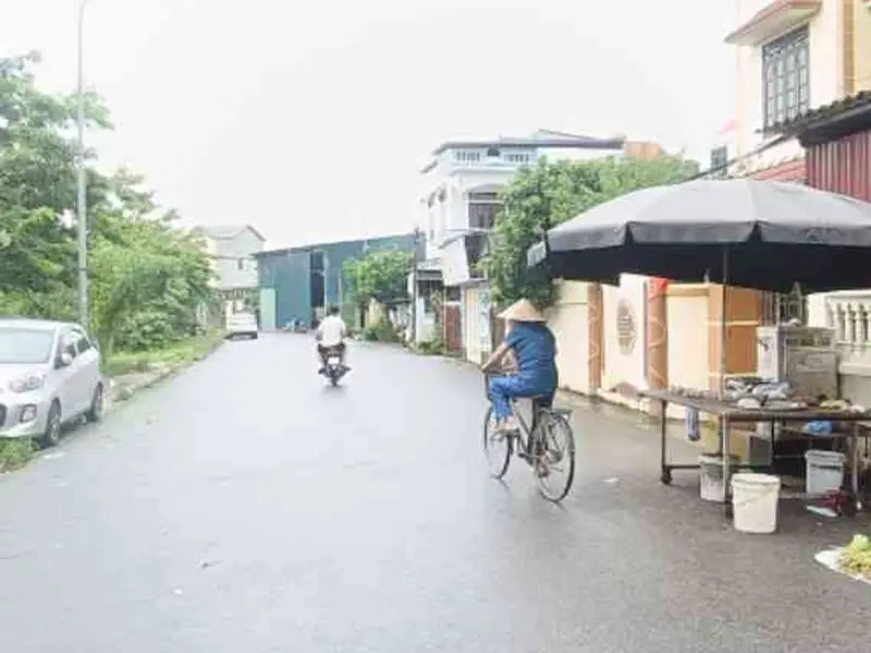 Đất Vàng Trà Lâm: Vị Trí Đẹp, Ô Tô Tránh Thoải Mái... Bán đất tại Song Liễu, Bắc Ninh 01