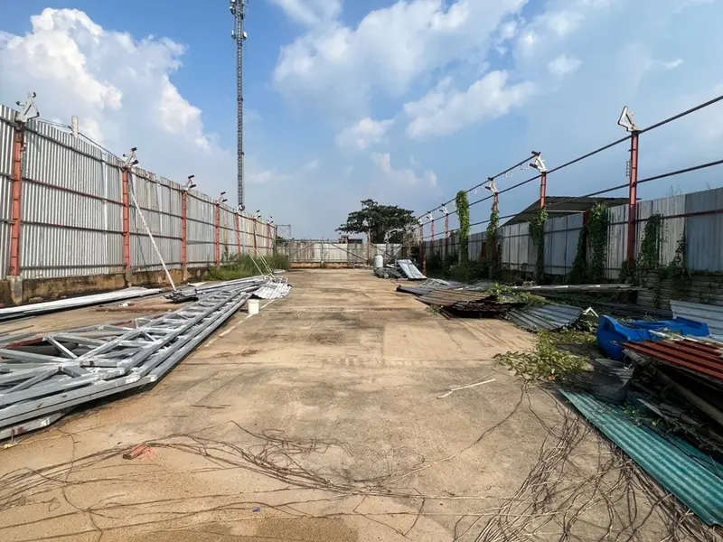 Đất vuông trồng cây lâu năm ngay Trần Đại Nghĩa, tiện ích trọn vẹn... Bán đất tại Bình Lợi, Hồ Chí Minh 01