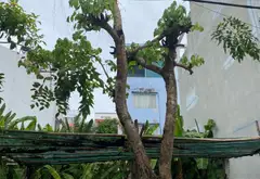 Bán đất 85m2 khu dân cư 13C bình hưng TP.HCM... Bán nhà mặt phố tại Bình Hưng, Hồ Chí Minh 07