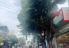 Nhà đẹp giá hời khu Thống Nhất - chỉ 4.69 tỷ... Bán nhà riêng tại An Hội Đông, Hồ Chí Minh 20