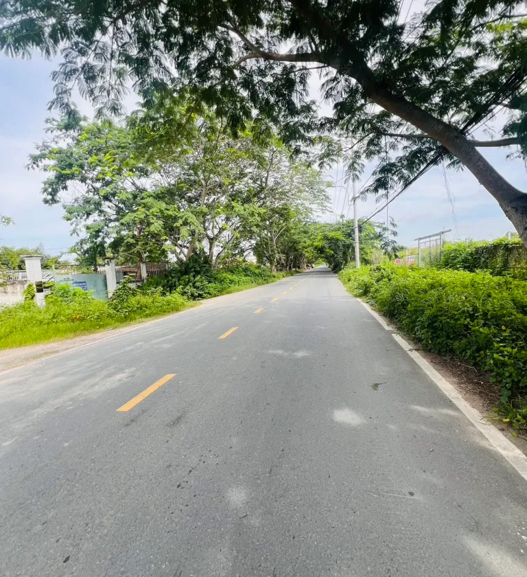 Bán đất mặt tiền kinh doanh đường Ngô Quang Thắm, xã Nhơn Đức... Bán đất tại Hiệp Phước, Hồ Chí Minh 01