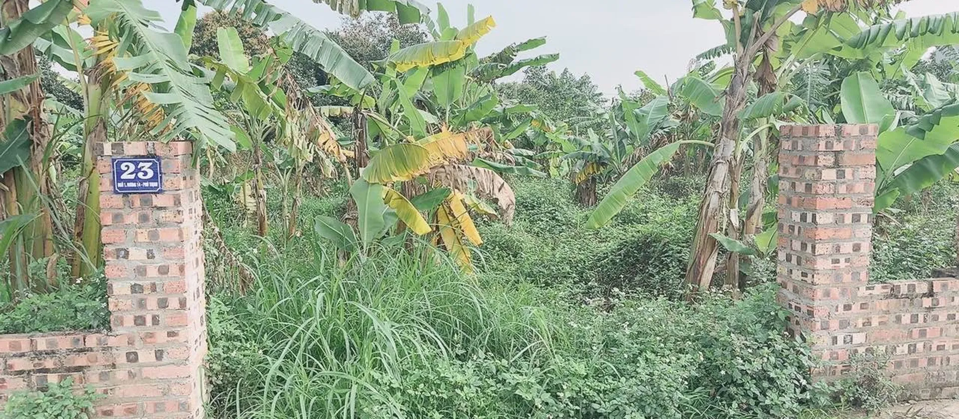 Bán đất phân lô ô tô tránh tại xã Kim Anh, TP Hà Nội, diện tích 75,1m2... Bán đất tại Kim Anh, Hà Nội 01