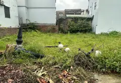 Đất Vàng Thôn Nam Cương - Đầu Tư Sinh Lời Ngay!... Bán đất tại Nội Bài, Hà Nội 01