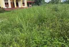 Đất đẹp rộng hơn 300m2 gần trung tâm hành chính Thủy Nguyên... Bán đất tại Thiên Hương, Hải Phòng 02