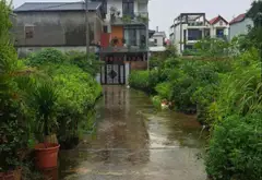 Bán đất thôn Đầu, xã Phụng Công, Văn Giang, Hưng Yên - mặt tiền 6m, đường ô tô 5m... Bán đất tại Phụng Công, Hưng Yên 03